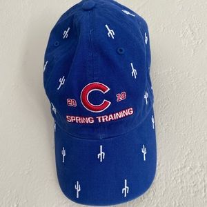 Chicago Cubs baseball cap